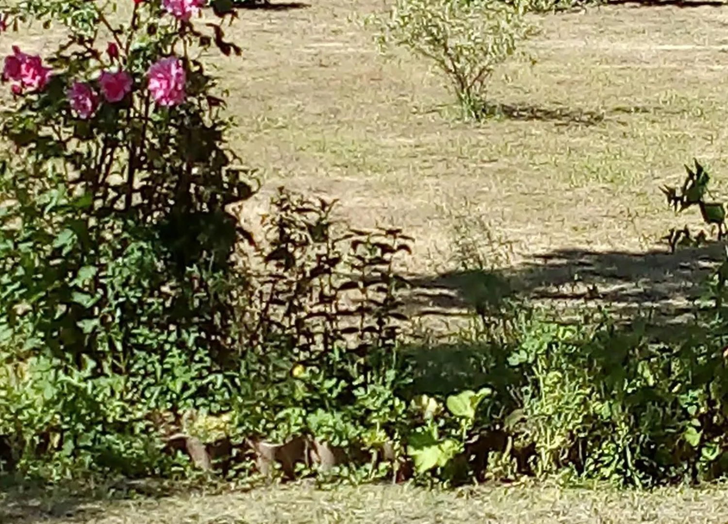 Homestay Maison De Village Les Cammazes